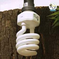 لامپ یو وی دار رپتایل دیزرت تراریوم صحرایی جی بی ال