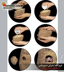 ظرف غذا زنده تراریوم فدینگ راک جی بی ال