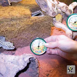 دماسنج و رطوبت سنج عقربه ای تراریوم جی بی ال