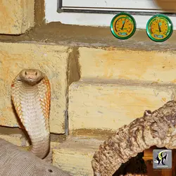 دماسنج و رطوبت سنج عقربه ای تراریوم جی بی ال