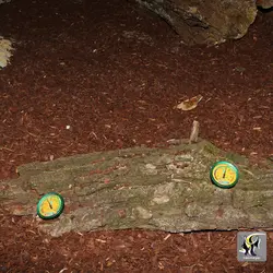 دماسنج و رطوبت سنج عقربه ای تراریوم جی بی ال