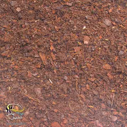 بستر پوست درخت کاج ترابارک تراریوم جی بی ال