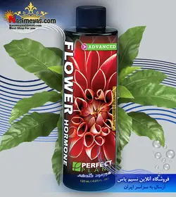 هورمون گلدهی گیاهان آپارتمانی و گلخانه ای پرفکت پلنت