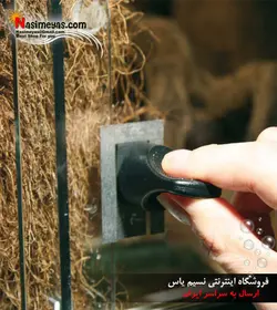 قفل مغناطیسی درب شیشه ای تراریوم جی بی ال