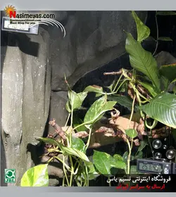 دماسنج و رطوبت سنج دیجیتال خورشیدی تراریوم جی بی ال