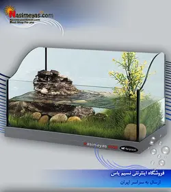 تراریوم و تانک لاک پشت جامائیکا ۶۰ فرپلاست