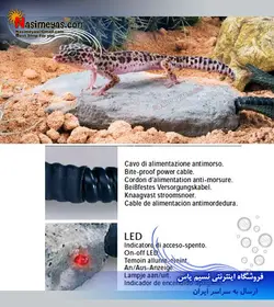 صخره حرارتی تراریوم و خزندگان فرپلاست