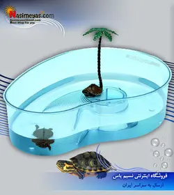 مینی تراریوم کوچک لاک پشت فرپلاست