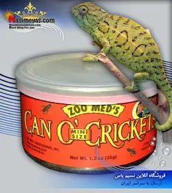 کنسرو جیرجیرک ریز خزندگان کریکتس زوو مد کروچی