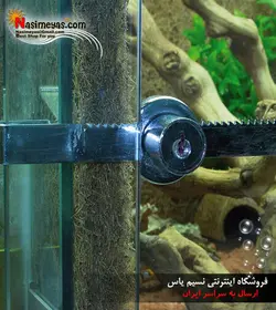 قفل درب شیشه ای تراریوم جی بی ال