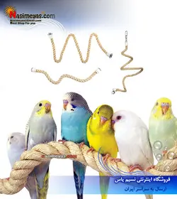 طناب خیلی بزرگ نشستن پرنده شرکت فلامینگو