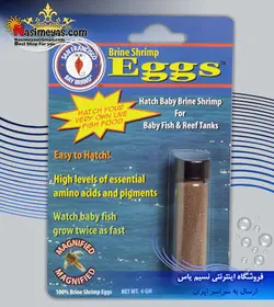 تخم آرتمیا ۶ گرم سان فرانسیسکو