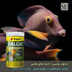 غذای گرانوله ۳ جلبکه و آلوئه ورا ۲۵۰ میل تروپیکال