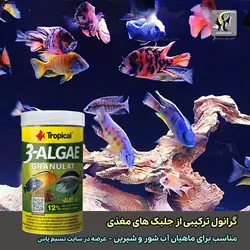 غذای گرانوله ۳ جلبکه و آلوئه ورا ۲۵۰ میل تروپیکال