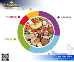 غذای ترکیبی طوطی سانان بزرگ گراند میکس ۶۰۰ گرم پادوان