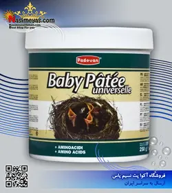 سرلاک نوزاد پرندگان دانه خوار پادوان