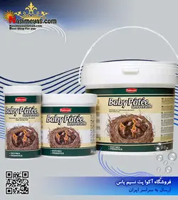 سرلاک نوزاد پرندگان دانه خوار پادوان