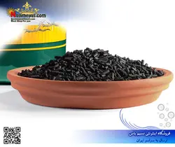 غذای مرغ مینا و پرندگان حشره خوار ۱ کیلوگرم پادوان