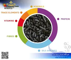 غذای مرغ مینا و پرندگان حشره خوار ۱ کیلوگرم پادوان