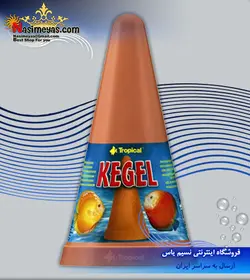 مخروط تخم ریزی دیسکس و آنجل کگل تروپیکال