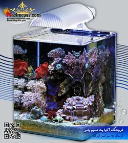 آکواریوم نانو کوب ۳۰ لیتر فول برای آب شور دنرله