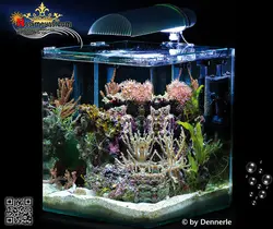 آکواریوم نانو کوب ۳۰ لیتر فول برای آب شور دنرله