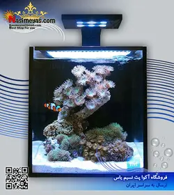 آکواریوم آماده ۳۰ سانت فیوژن ۱۰ اینو ویسیو مارین