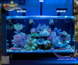 آکواریوم آماده ۶۰ سانت فیوژن ۲۰ اینو ویسیو مارین