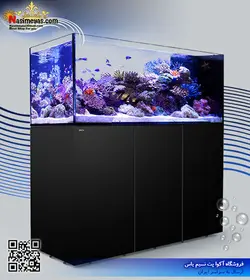 آکواریوم ریفر پنین سولا P650 رد سی