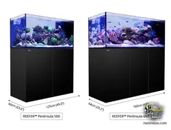 آکواریوم ریفر پنین سولا P650 رد سی