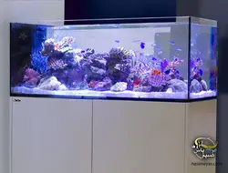 آکواریوم ریفر پنین سولا P650 رد سی