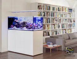 آکواریوم ریفر پنین سولا P650 رد سی