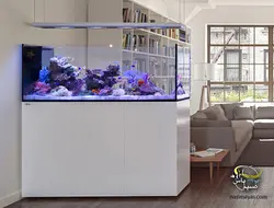 آکواریوم ریفر پنین سولا P650 رد سی