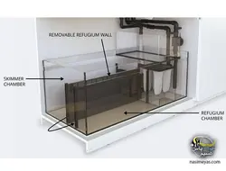 آکواریوم ریفر پنین سولا P650 رد سی