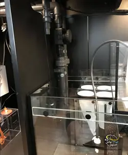 آکواریوم ریفر پنین سولا P650 رد سی