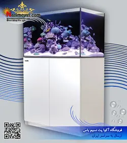 آکواریوم ریفر Reefer رد سی