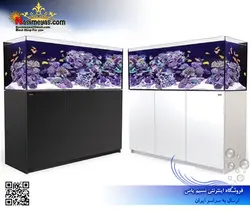 آکواریوم ریفر Reefer رد سی