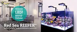 آکواریوم ریفر Reefer رد سی