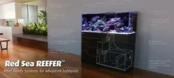 آکواریوم ریفر Reefer رد سی