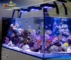 آکواریوم ریفر Reefer رد سی