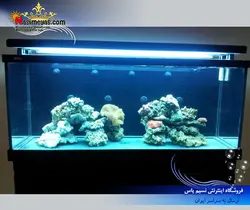 آکواریوم حرفه ای S500 شرکت رد سی