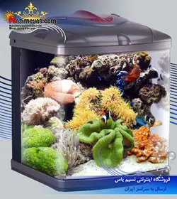 آکواریوم TL 550 آب شور بویو سفارش ماهیران