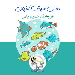 مار ماهی روبان مشکی آب شور