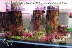 پوسته درخت فرآوری شده آکواریوم و تراریوم
