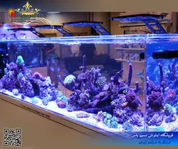 سیستم نور آب شور Ethereal E5-130 مکس اسپکت