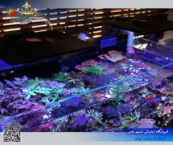 سیستم نور آب شور Ethereal E5-130 مکس اسپکت