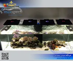سیستم نور آب شور Ethereal E5-130 مکس اسپکت