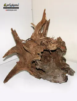 تنه درخت طبیعی آکواریوم گیاهی شماره ۵