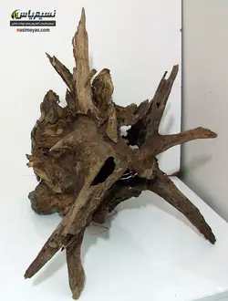 تنه درخت طبیعی آکواریوم گیاهی شماره ۵