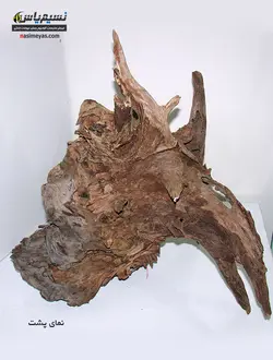 تنه درخت طبیعی آکواریوم گیاهی شماره ۵